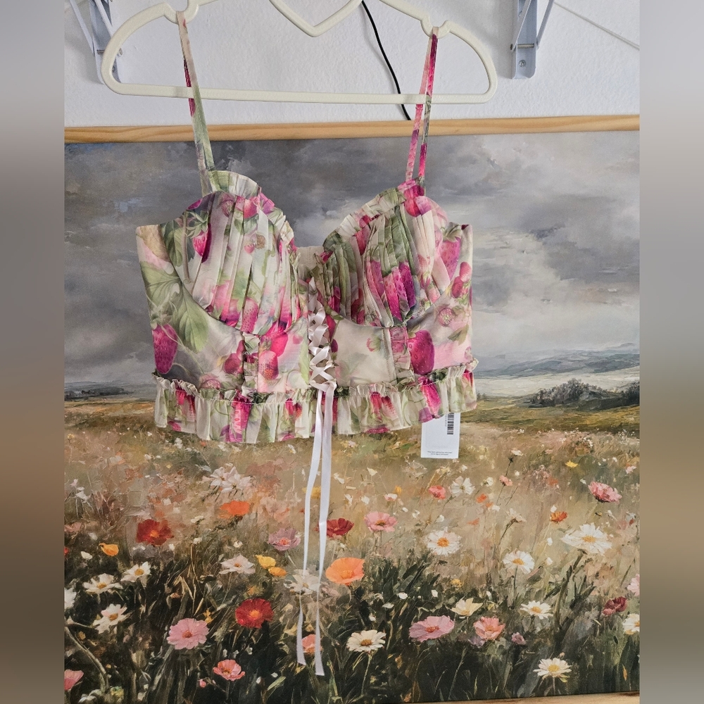 Selkie Strawberries In Cream Corset Top